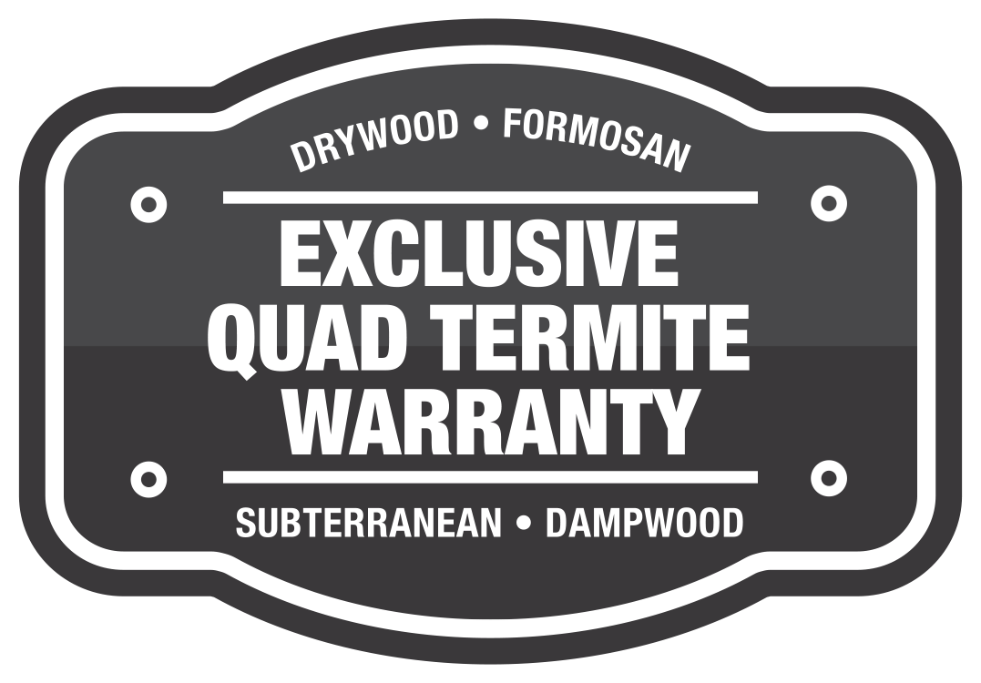 Termite warranty icon