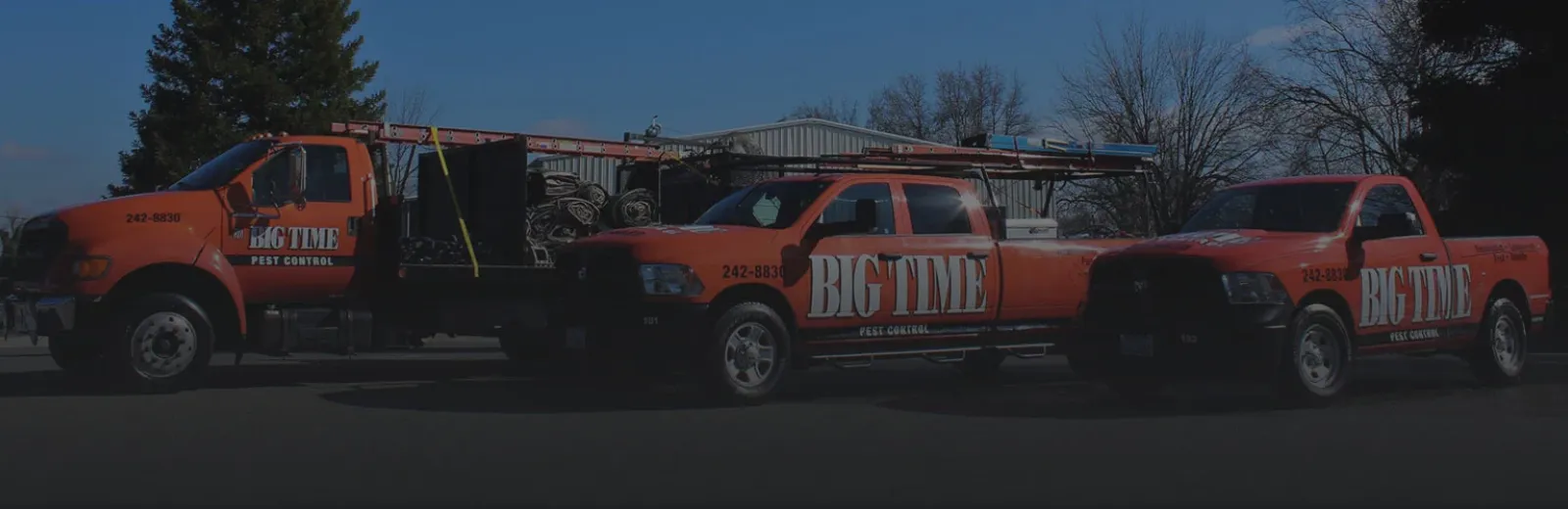 Big Time Pest Trucks
